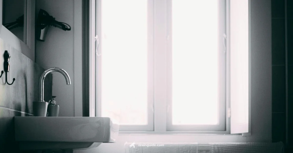 Trap Care Guide - Drain Guide