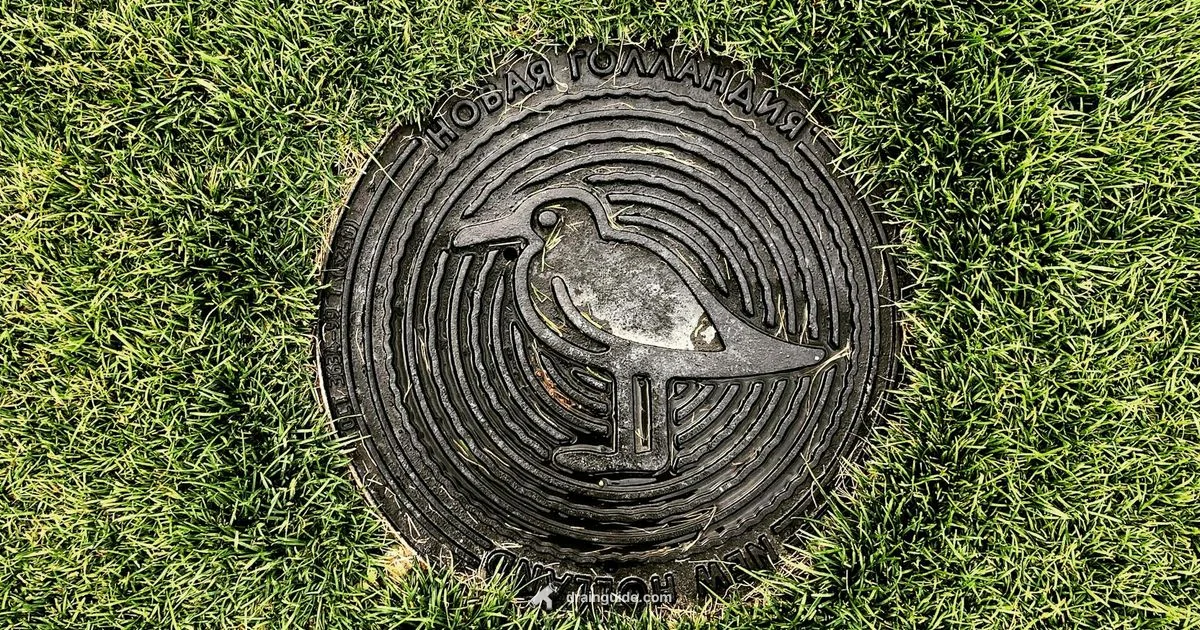 Outdoor Drain Grate Outdoor Drain Grate - Drain Guide