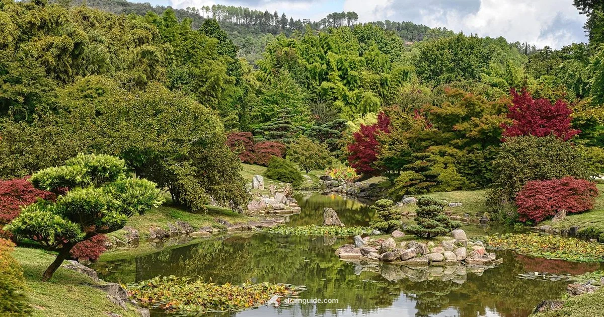 Drainage Basins - Drain Guide