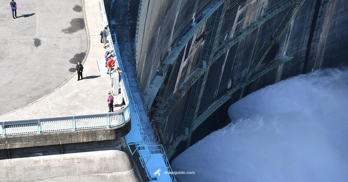 Top Drain Unblockers - Drain Guide