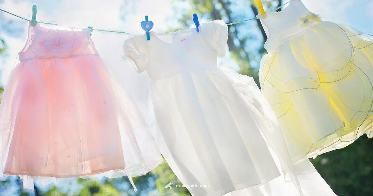 Drain Options - Drain Guide