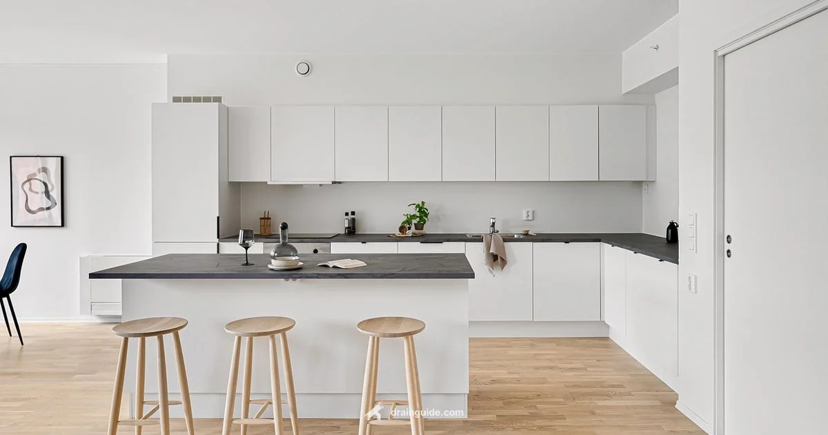 Dishwasher Drain Dishwasher Drain - Drain Guide