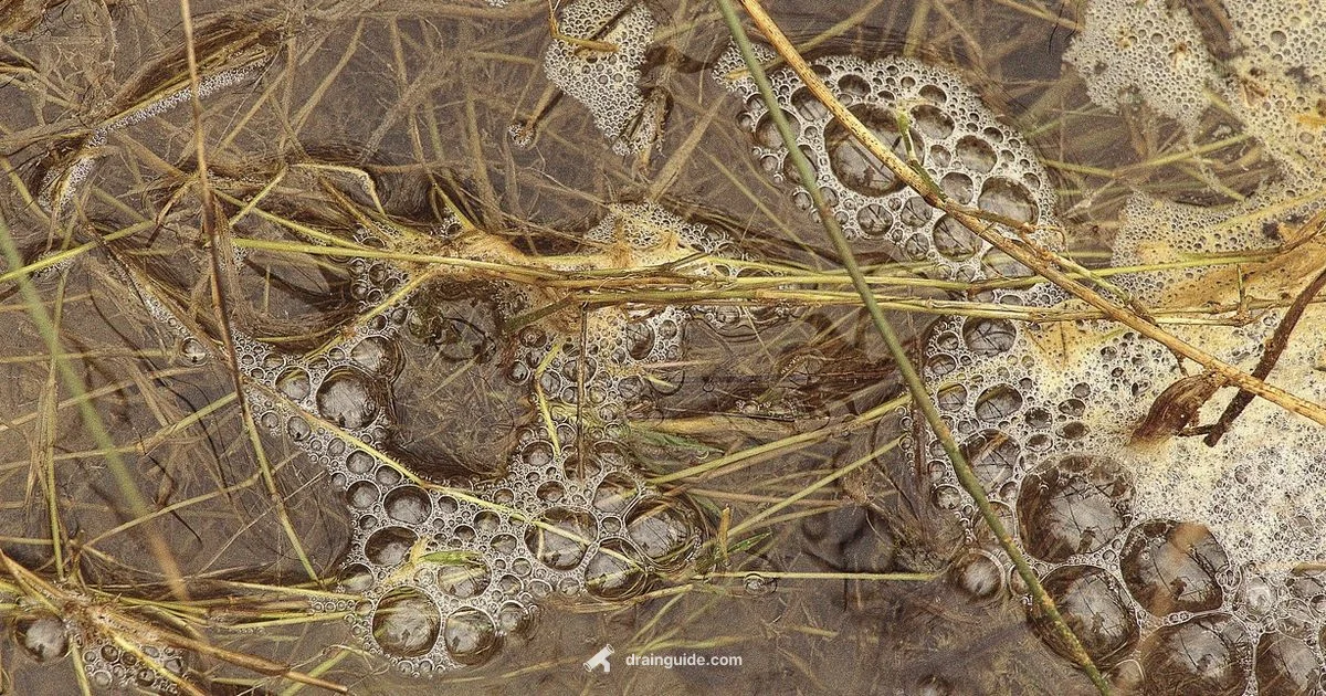 Relief from Throat Drainage Relief from Throat Drainage - Drain Guide