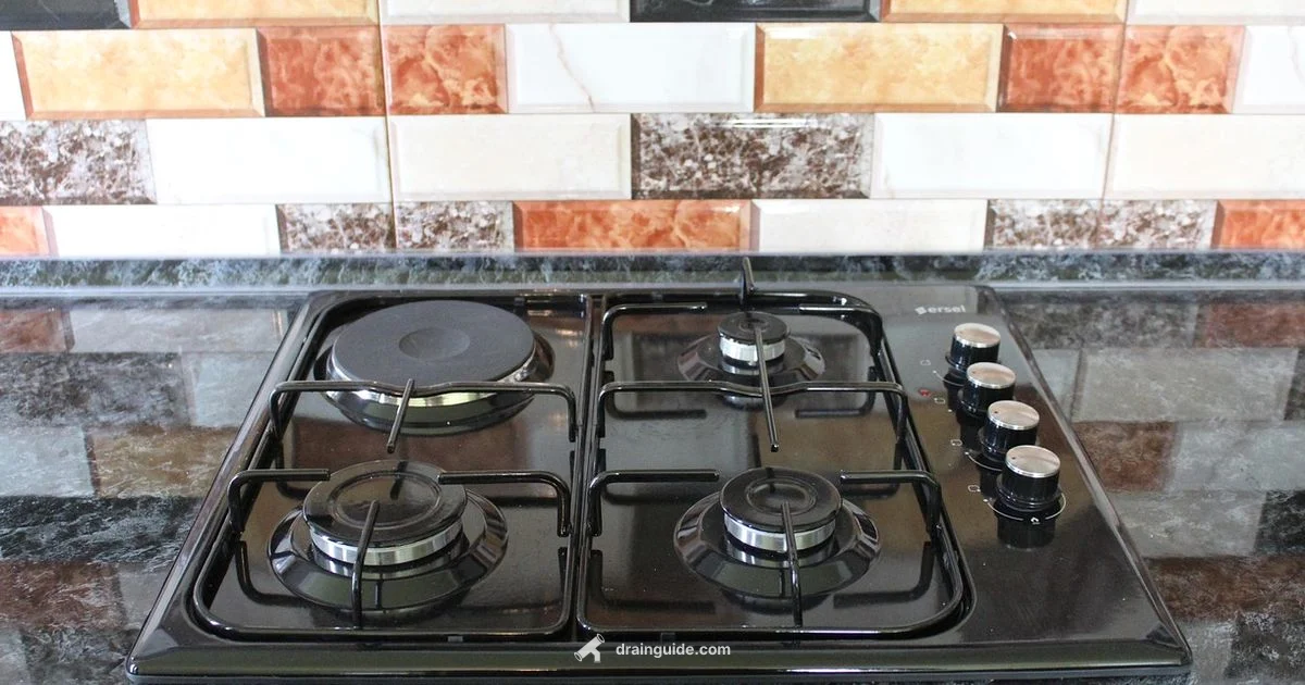 Drain Fly Remedies - Drain Guide