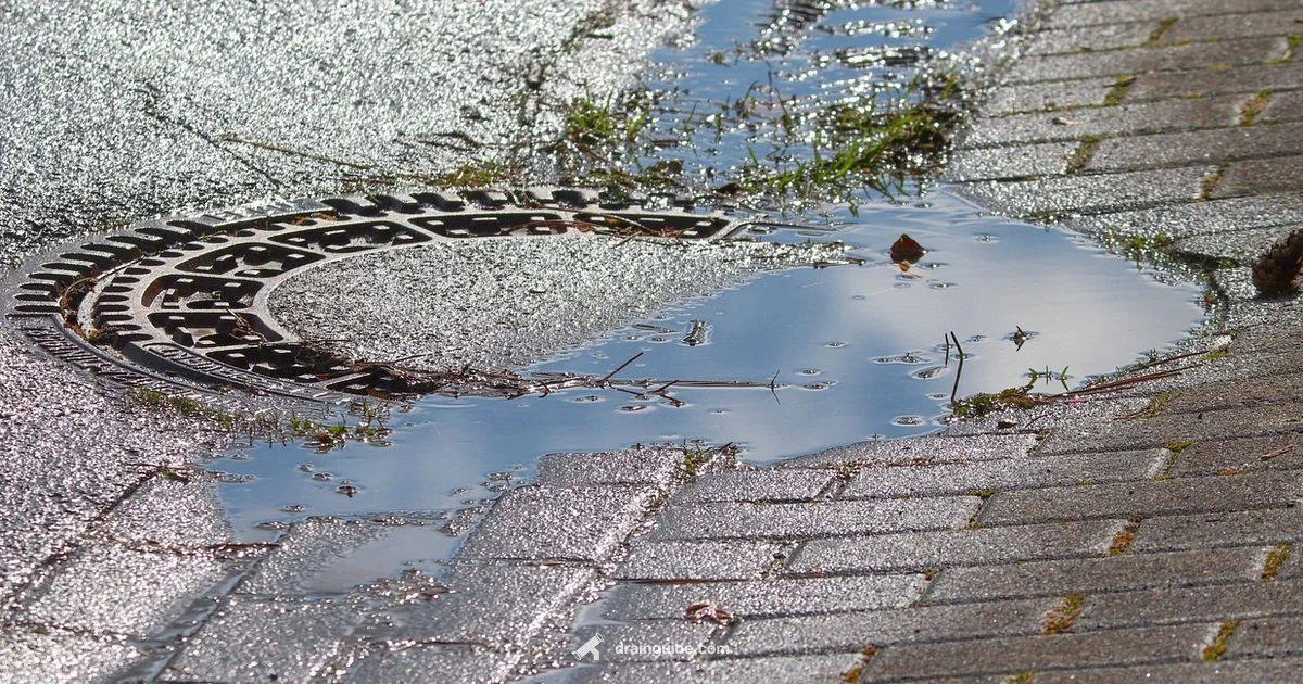 Drain Cover Guide - Drain Guide