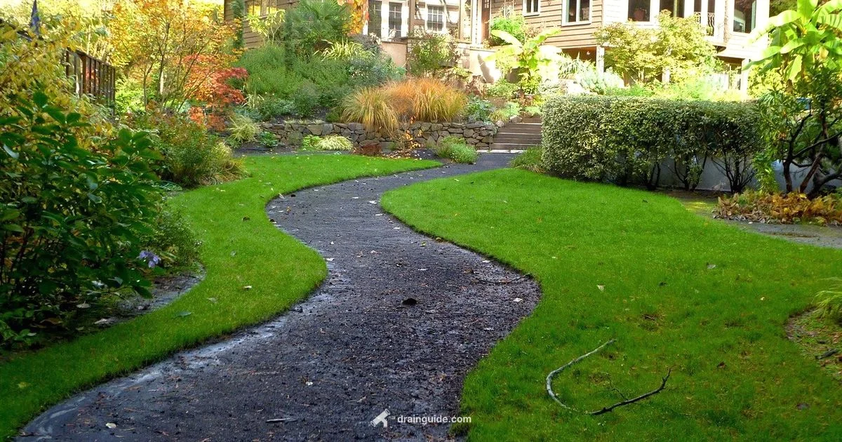 Drain Field Design - Drain Guide