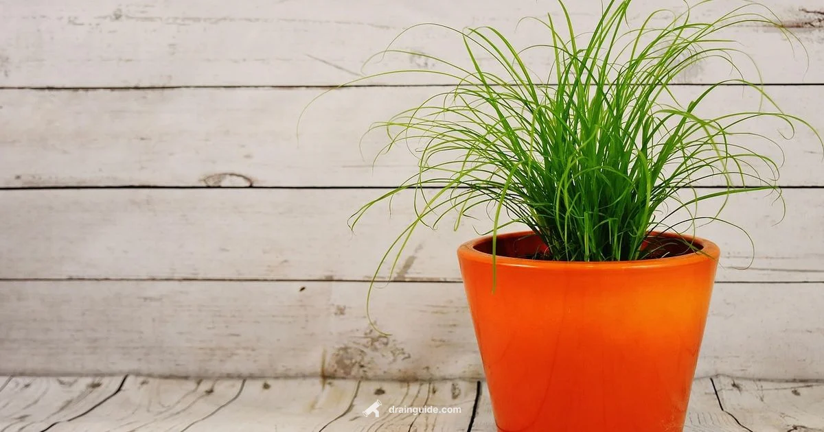 Drainage Holes Guide - Drain Guide