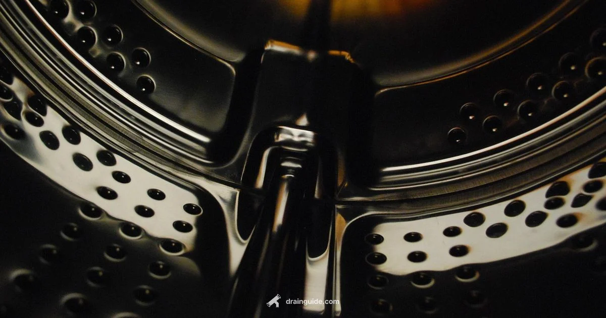 Drain and Spin - Drain Guide