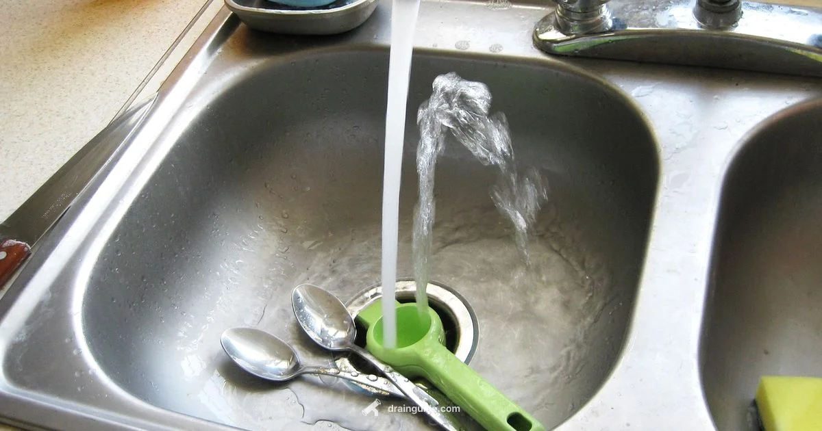 Drain Fly Prevention - Drain Guide