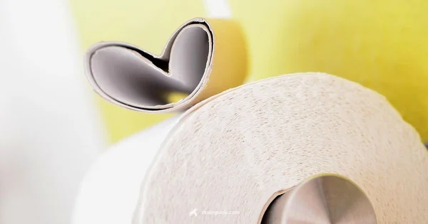 Toilet Clog Fix - Drain Guide