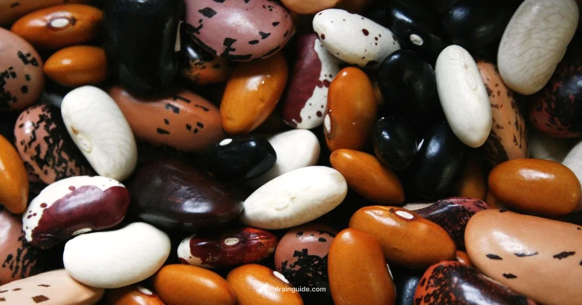 Drain and Rinse Beans Drain and Rinse Beans - Drain Guide