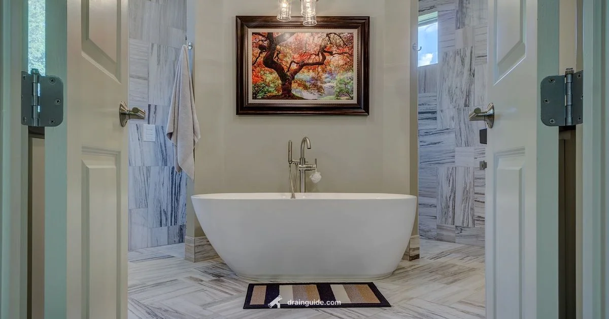 Tub Stopper Removal - Drain Guide