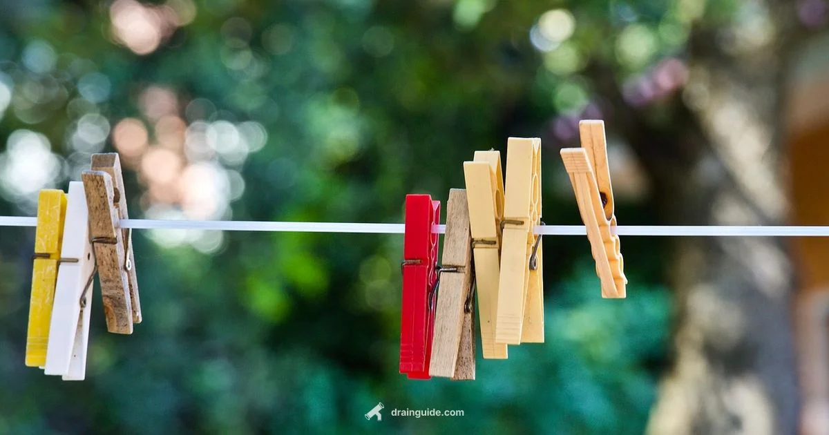 Spin and Drain - Drain Guide