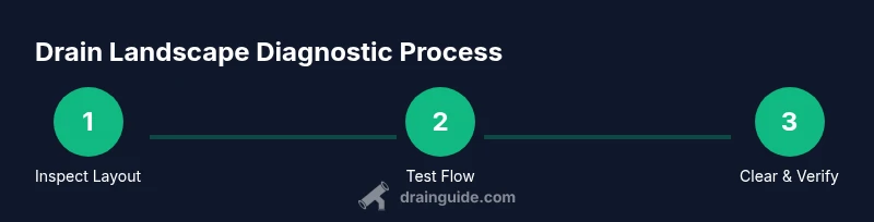 Process diagram showing Diagnose, Test, Clear steps for drain landscape