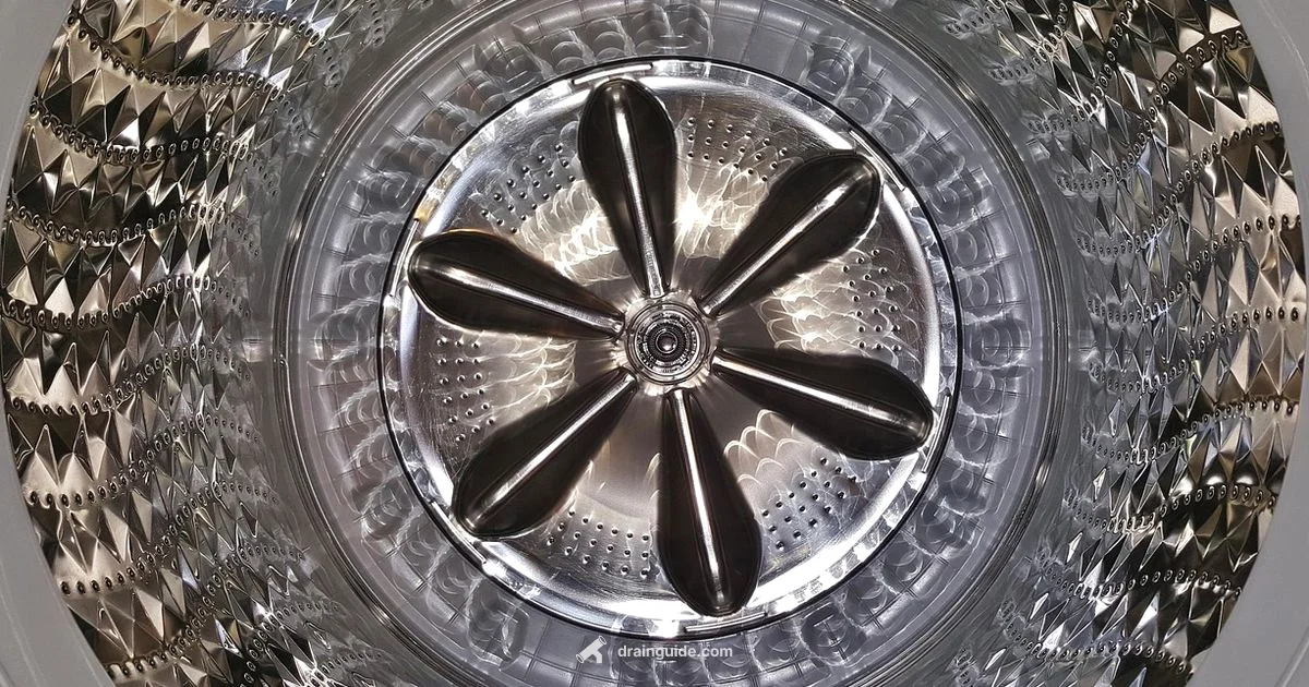 Drain Spin Cycle - Drain Guide