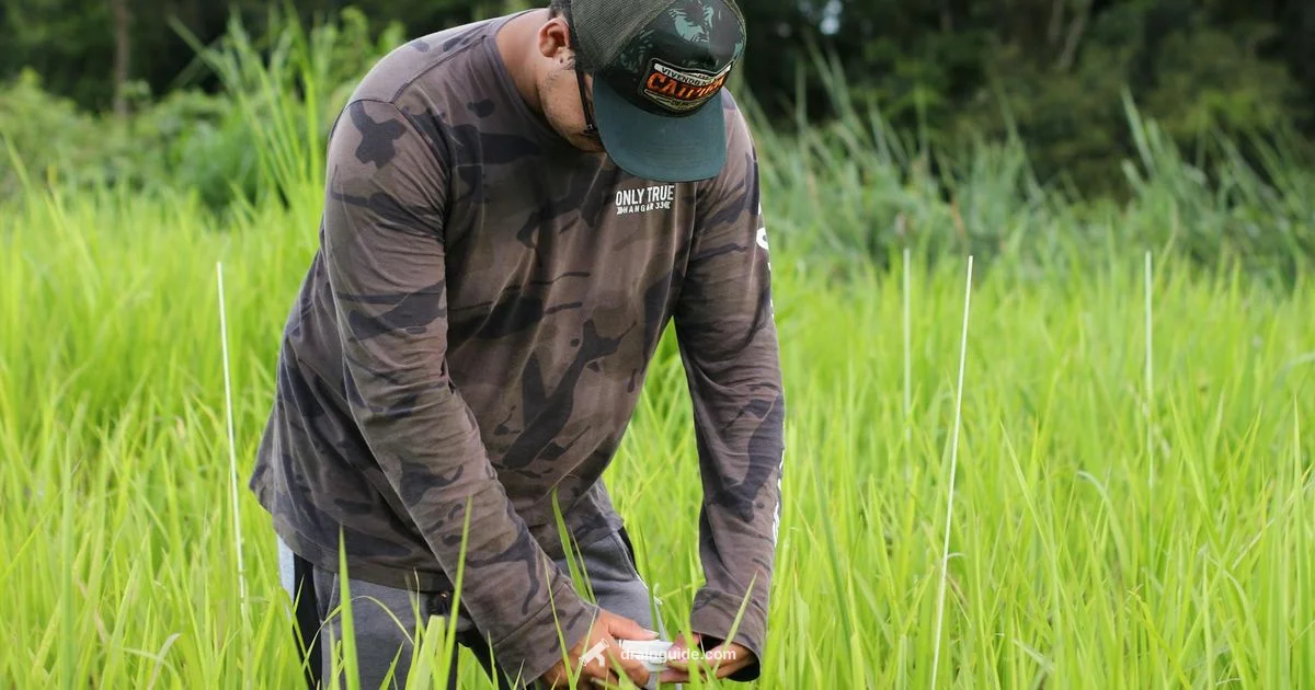 Drain Field Basics - Drain Guide