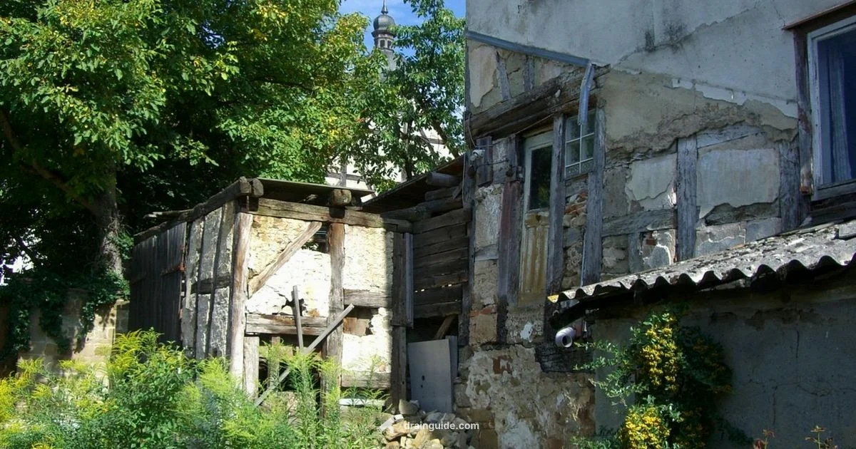 Drain Garden - Drain Guide