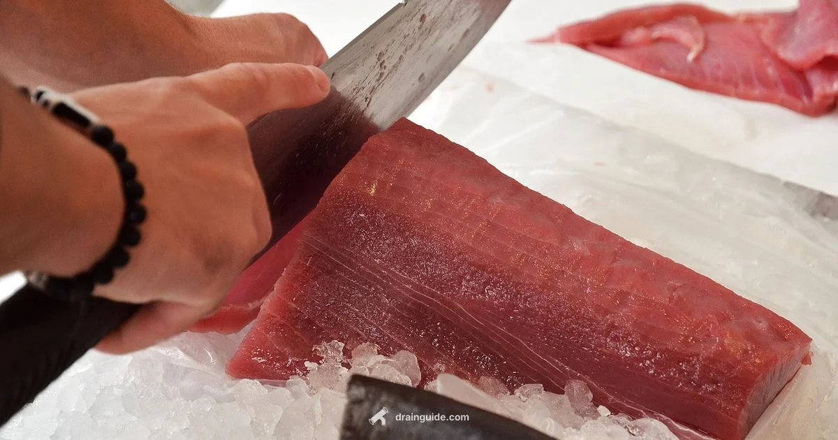 No Drain Tuna Defined No Drain Tuna Defined - Drain Guide