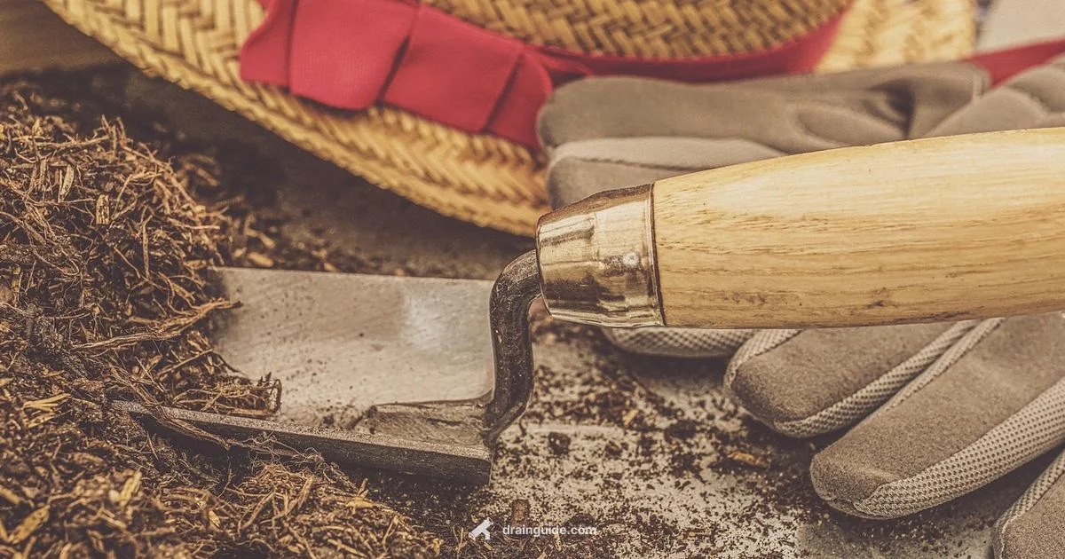 Well Draining Soil - Drain Guide