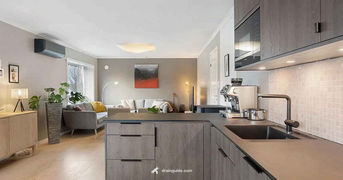 Drainage Concepts - Drain Guide