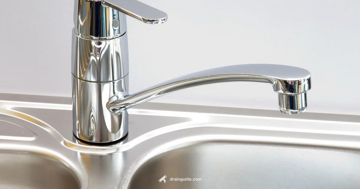 Drain Like a Pro - Drain Guide