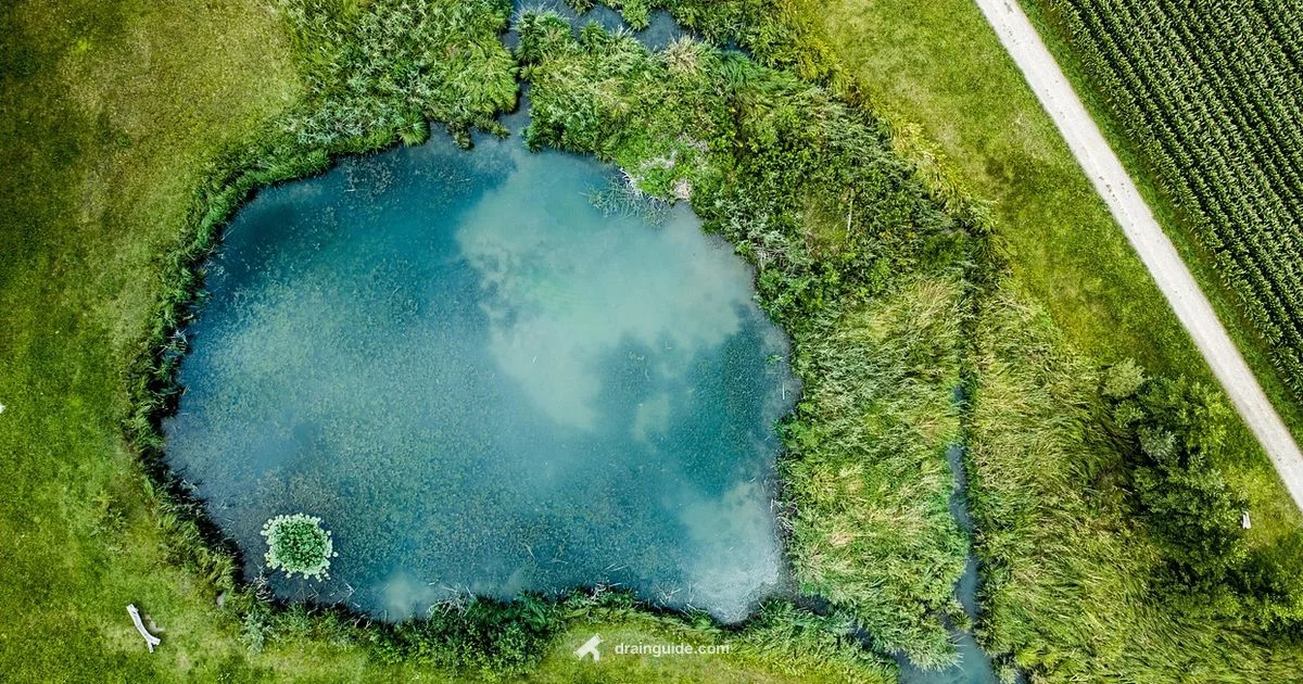 Drainage Basin Basics - Drain Guide