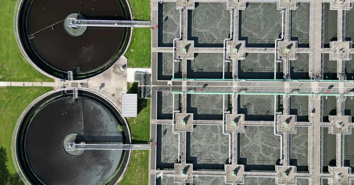 Septic Health Tips - Drain Guide