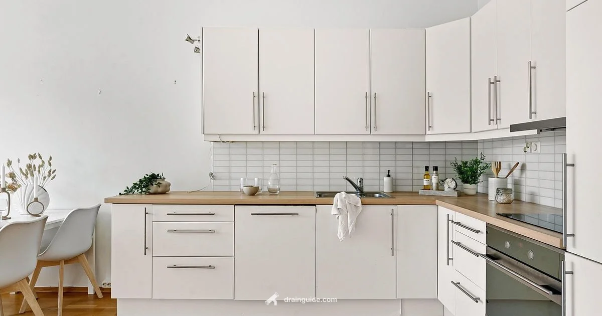 Prevent Clogs with Drain Cleaning - Drain Guide