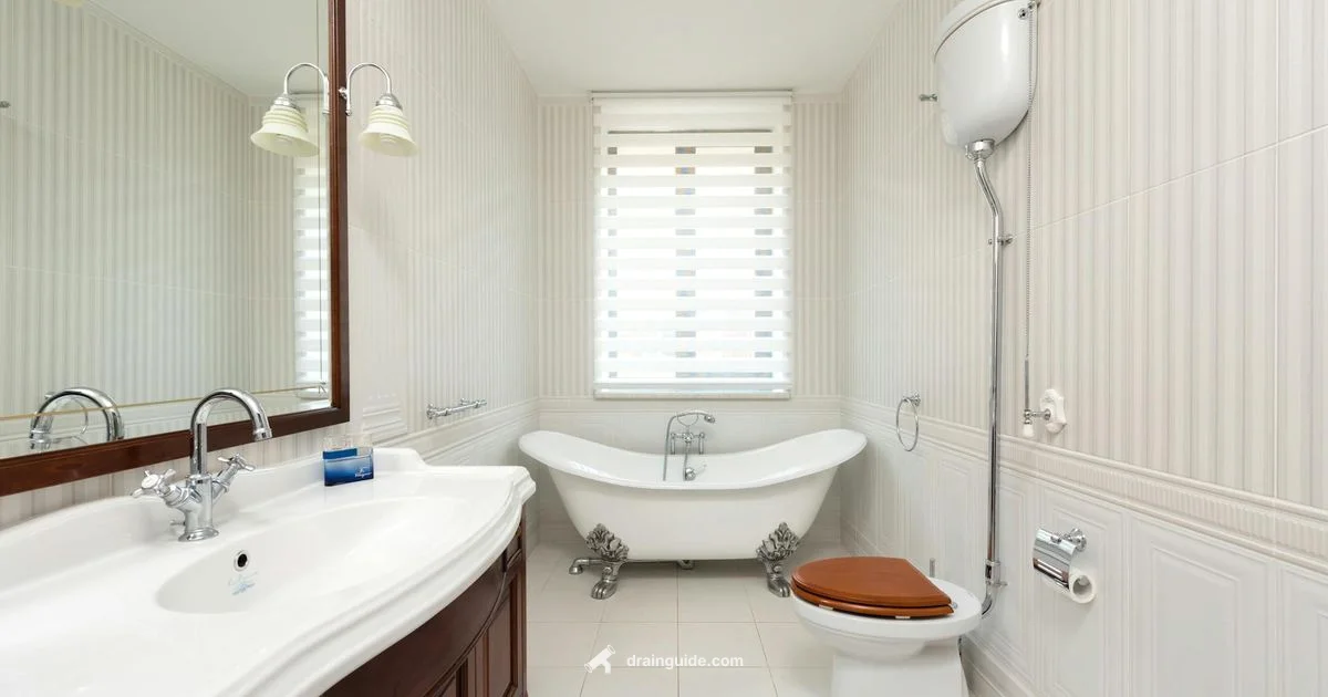 Blocked Tub Drain - Drain Guide