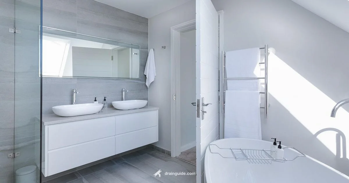 Drain Cleaning Essentials - Drain Guide