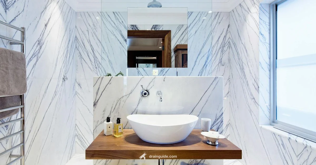 Slow Bathroom Sink Drain Slow Bathroom Sink Drain - Drain Guide