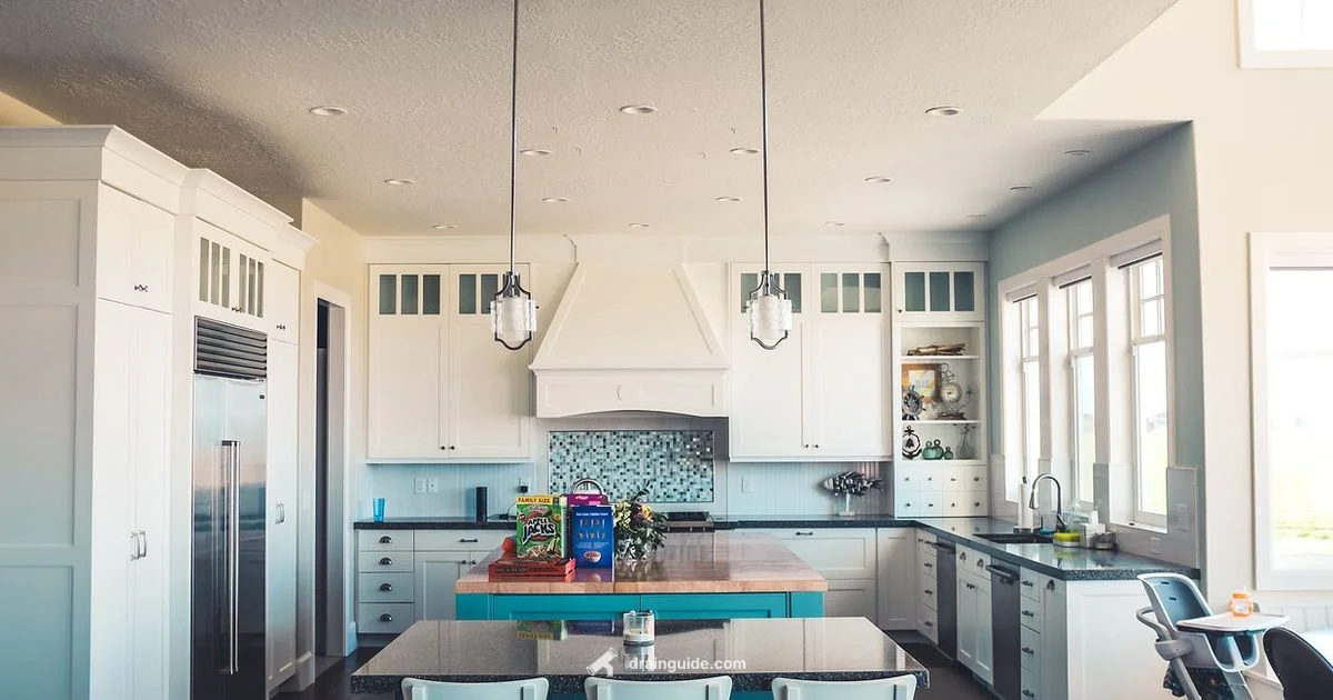 Drain vs Flush - Drain Guide