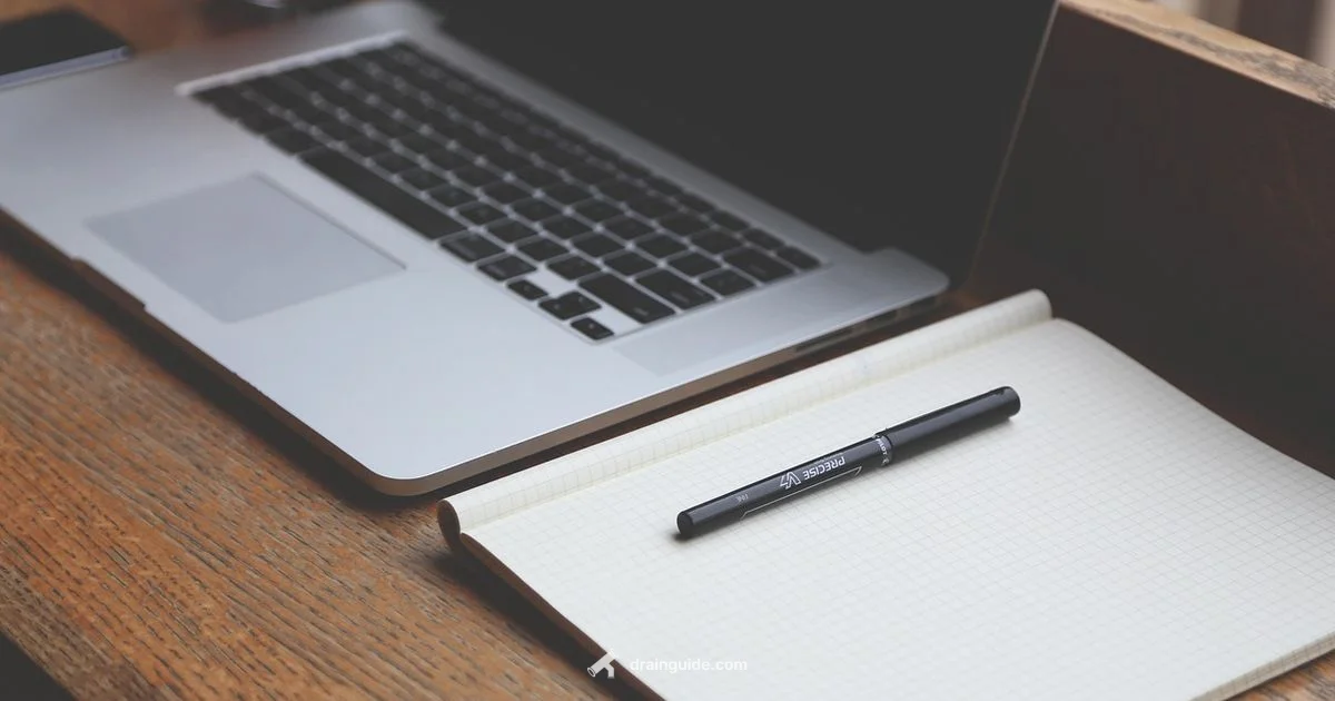 Clear Your Sink Drain - Drain Guide