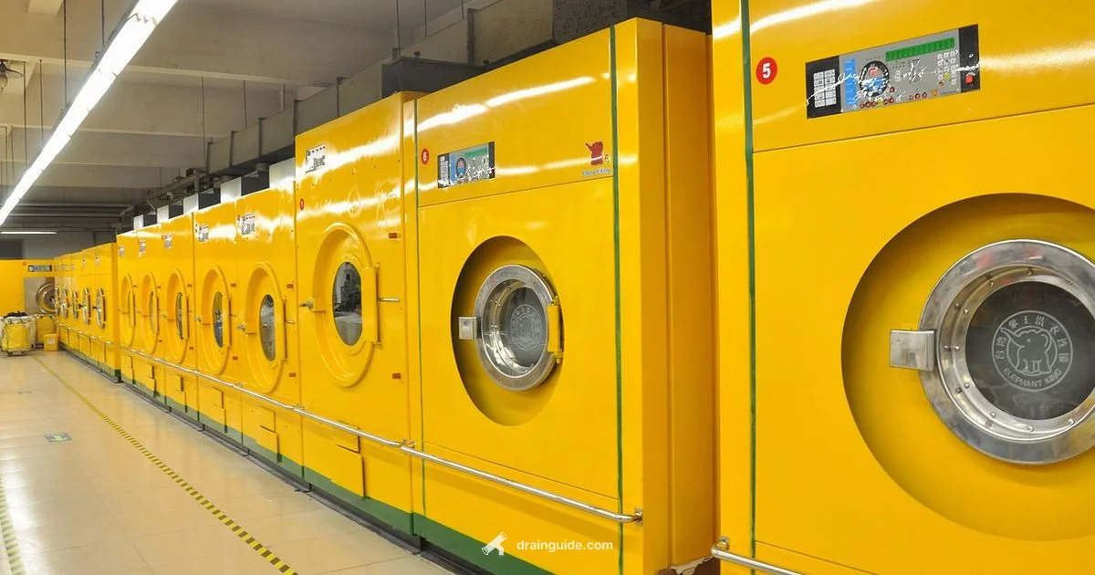 Cycle Clarity Cycle Clarity - Drain Guide