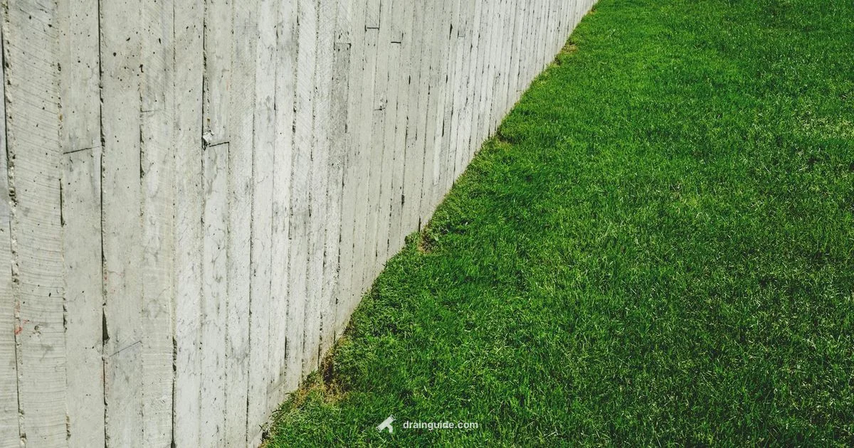 Backyard French Drain Backyard French Drain - Drain Guide