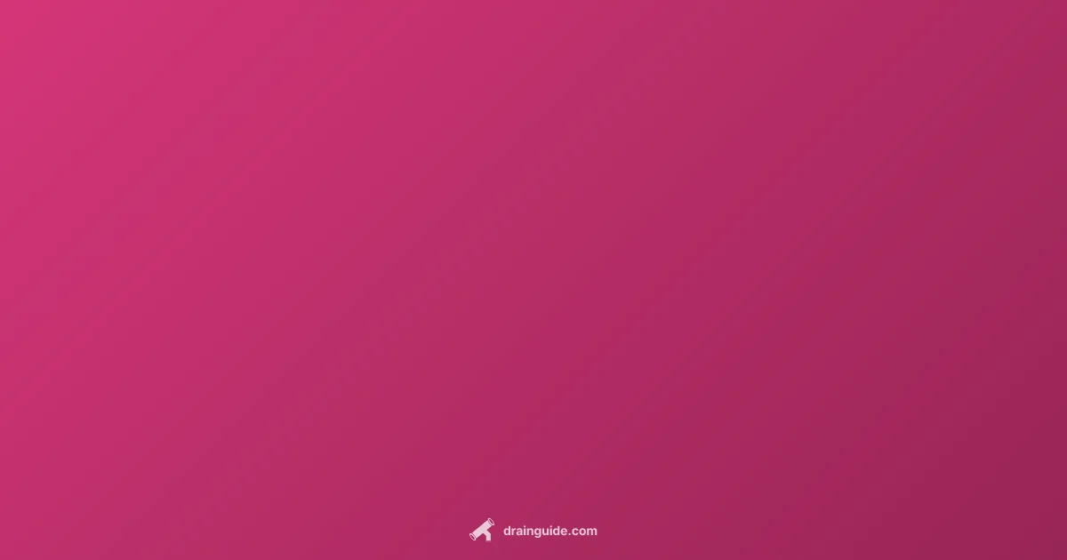 Backed-Up Drain - Drain Guide (illustration)