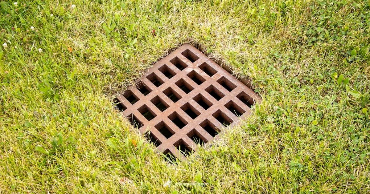 Backed-Up Drain Backed-Up Drain - Drain Guide