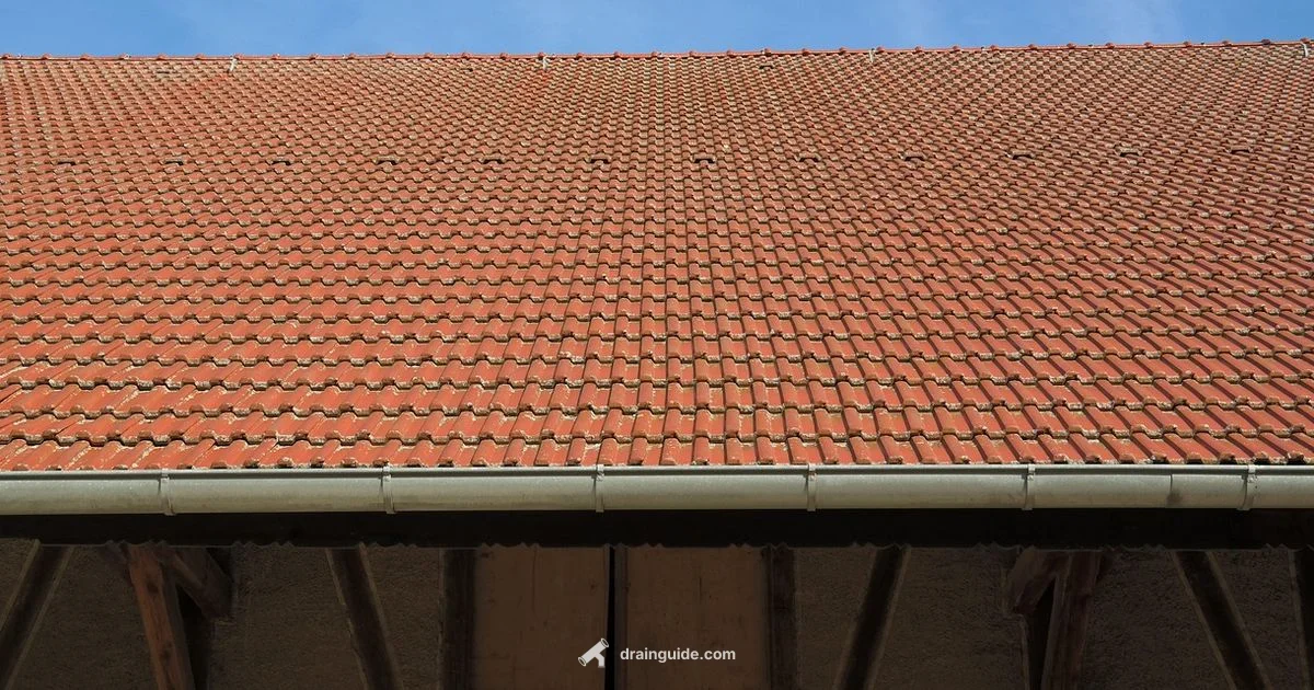 Drainage vs Discharge - Drain Guide