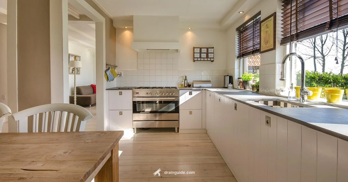 Drain Fix Guide - Drain Guide