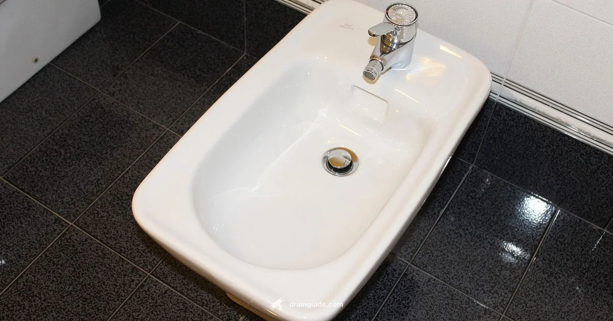 Toilet Drain Sizing Toilet Drain Sizing - Drain Guide