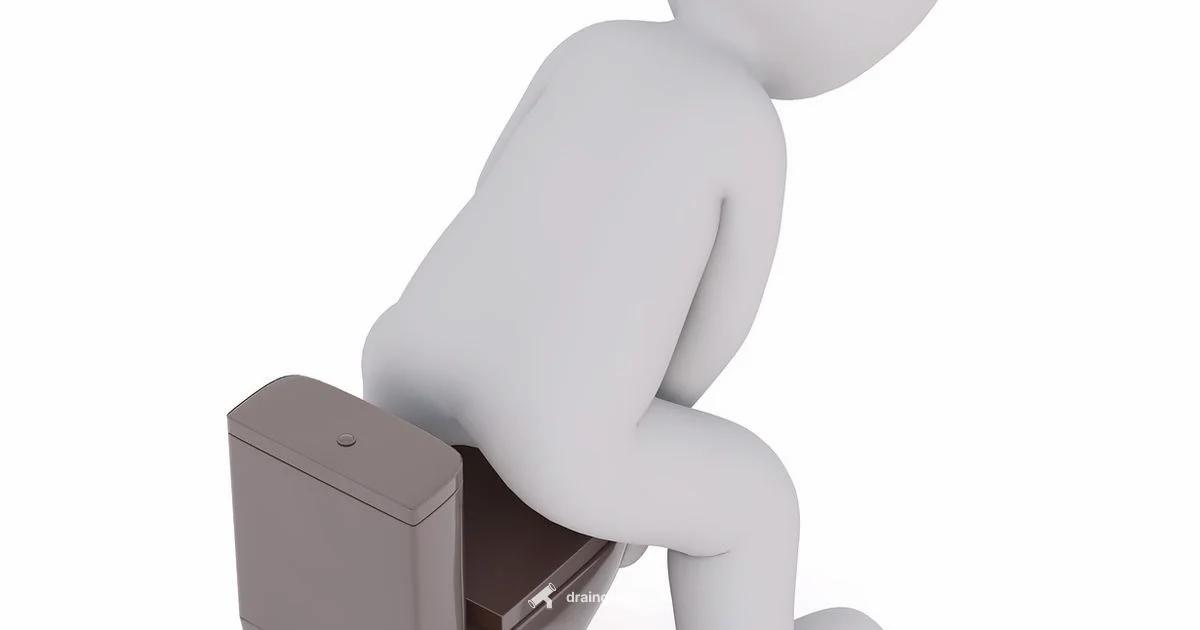 Toilet Clog Fix - Drain Guide