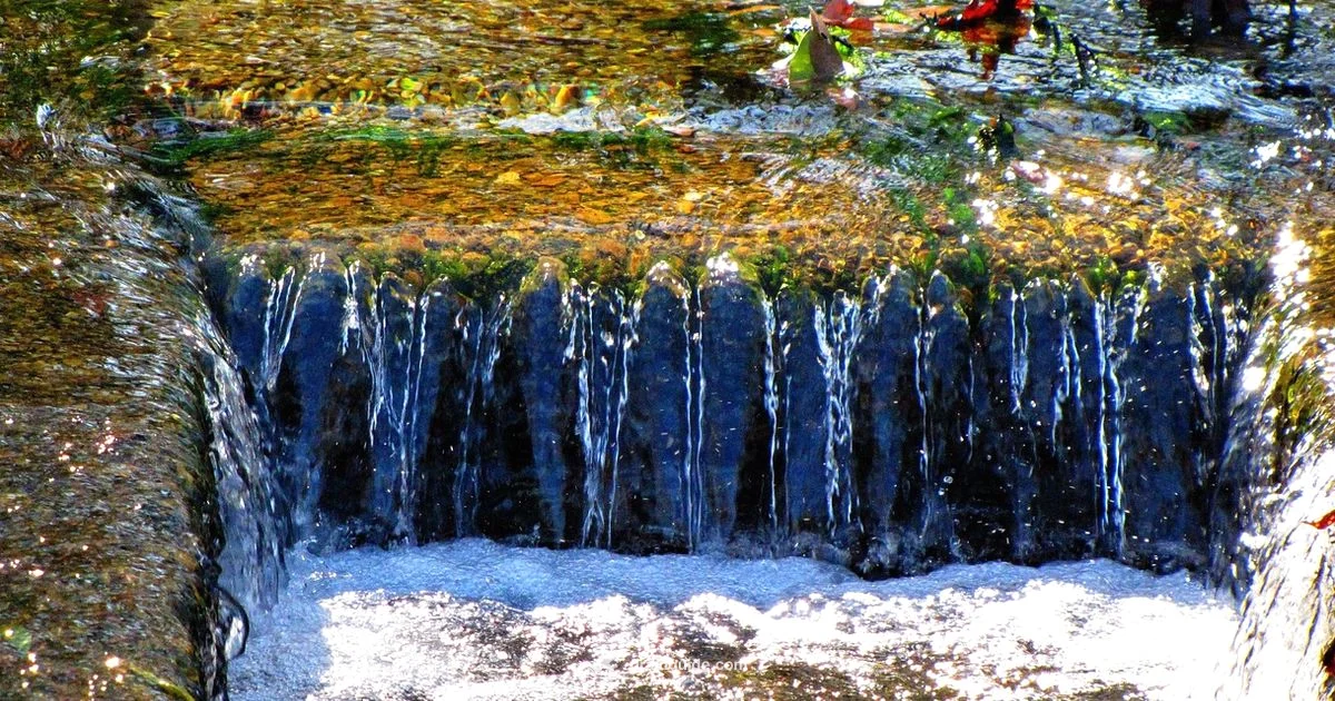 Drain Acid Safety - Drain Guide