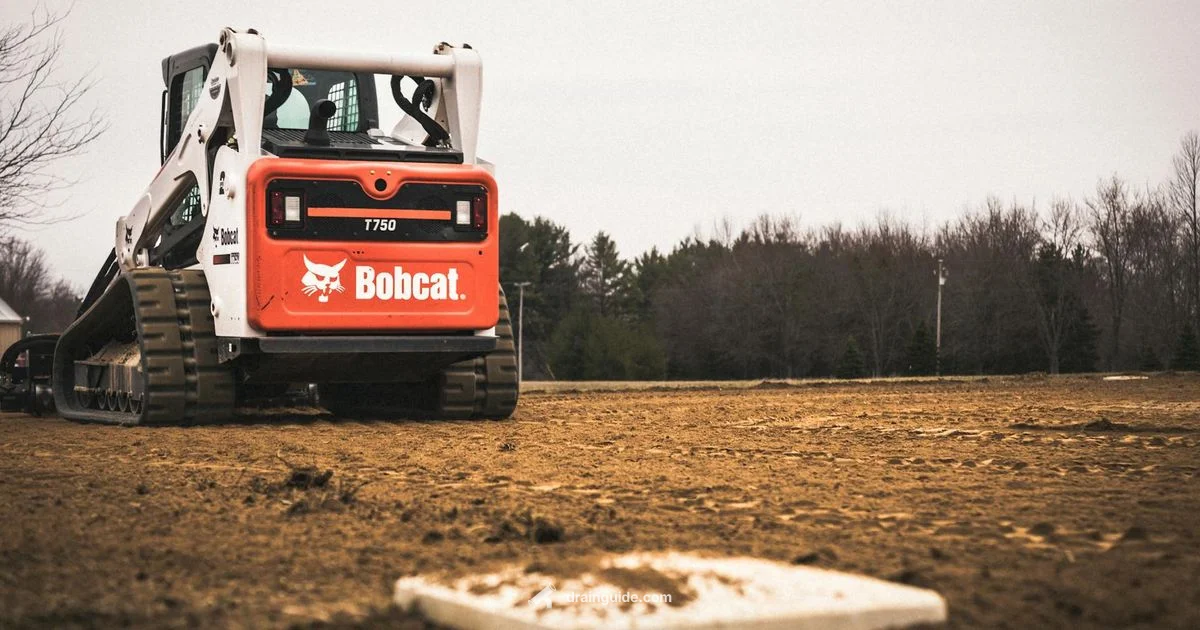 Drain Field Maintenance - Drain Guide