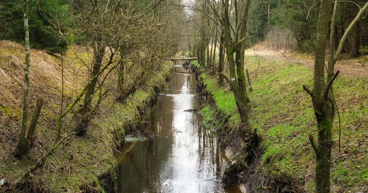 Yard Drainage Setup - Drain Guide