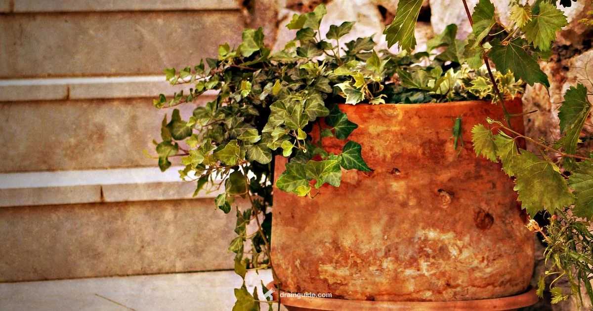 Tile Drain Install - Drain Guide