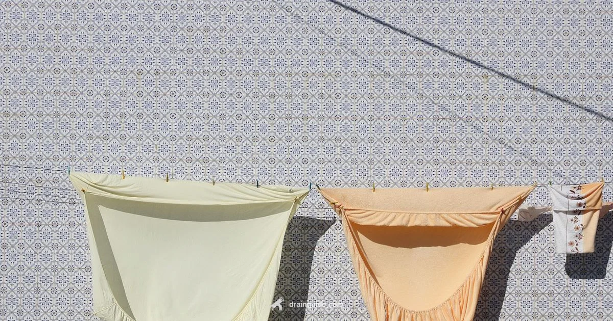 Washing Machine Drain Snake - Drain Guide