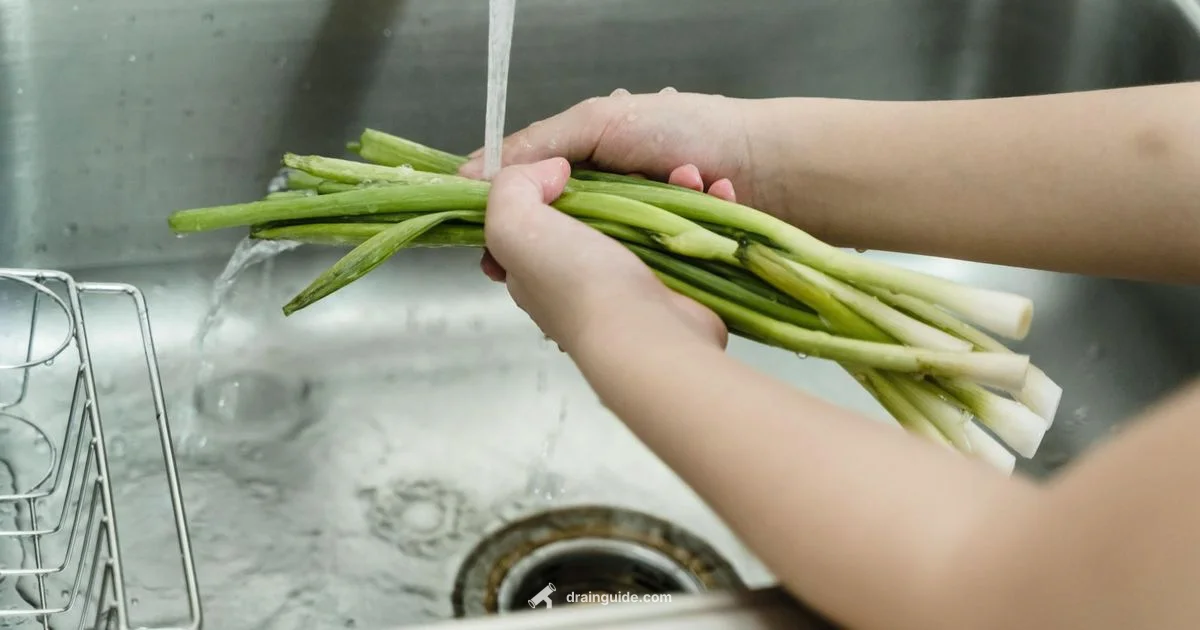 Smelly Drain Fix Smelly Drain Fix - Drain Guide