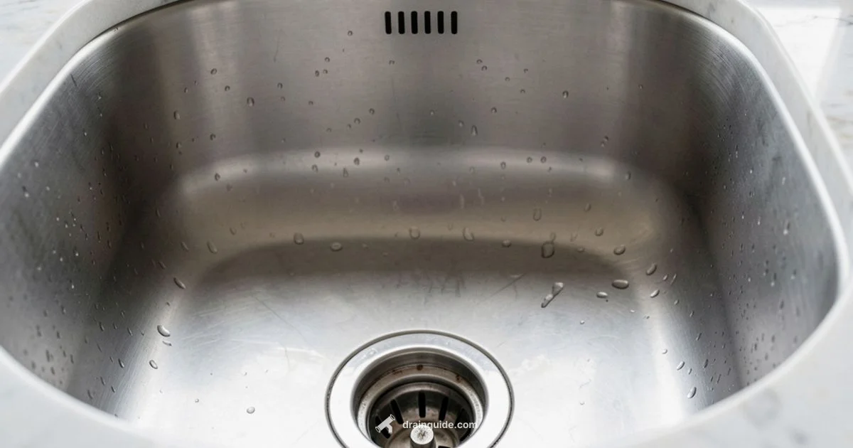 Denver Drain Help - Drain Guide