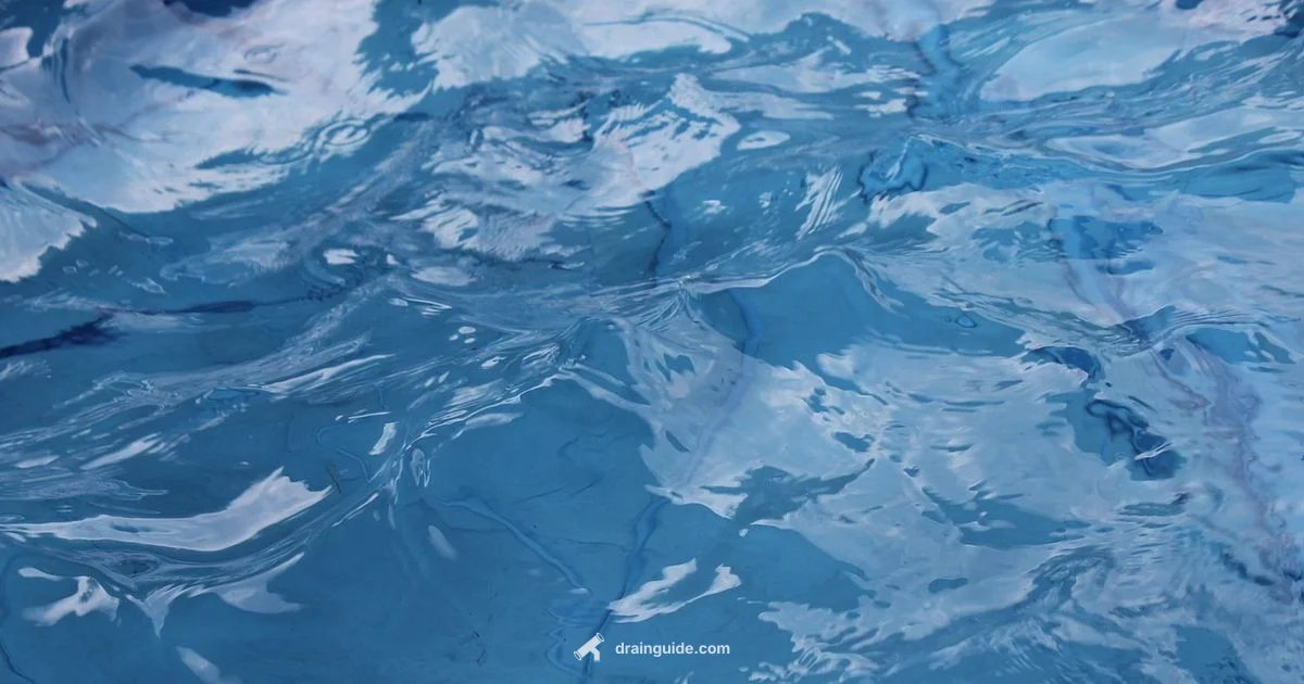 Winter Pool Prep - Drain Guide