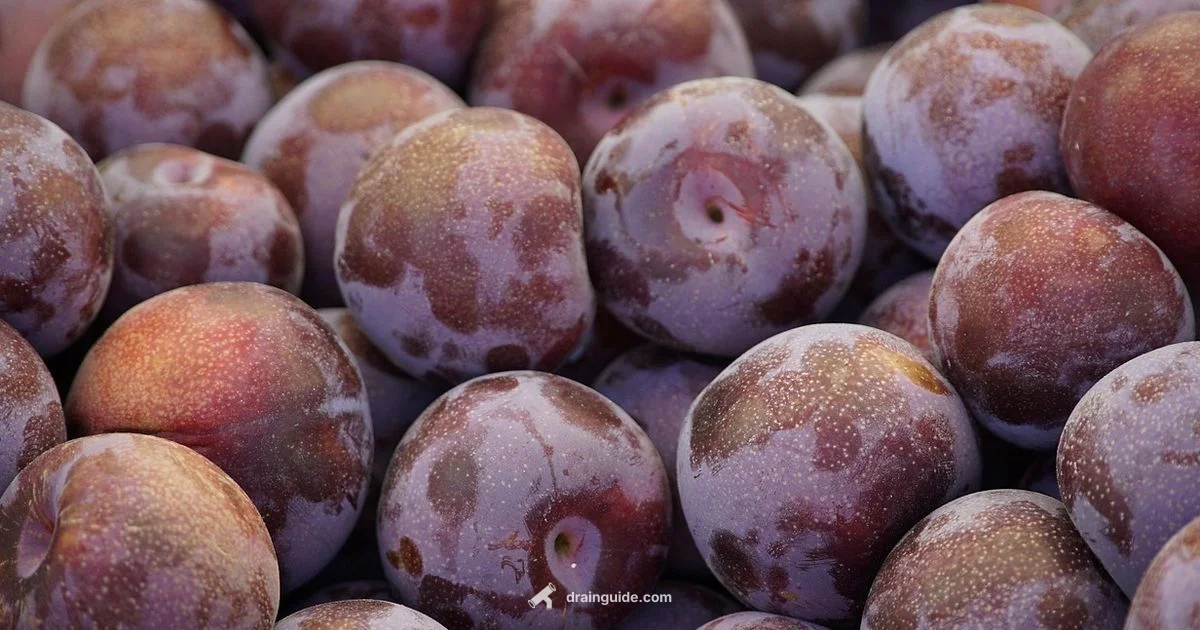 Unclog Sink Drain Unclog Sink Drain - Drain Guide